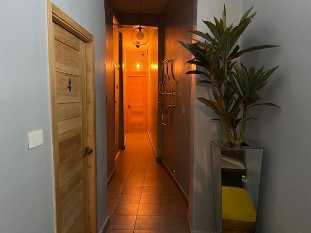 Hostal 53 Boutique サントドミンゴ エクステリア 写真